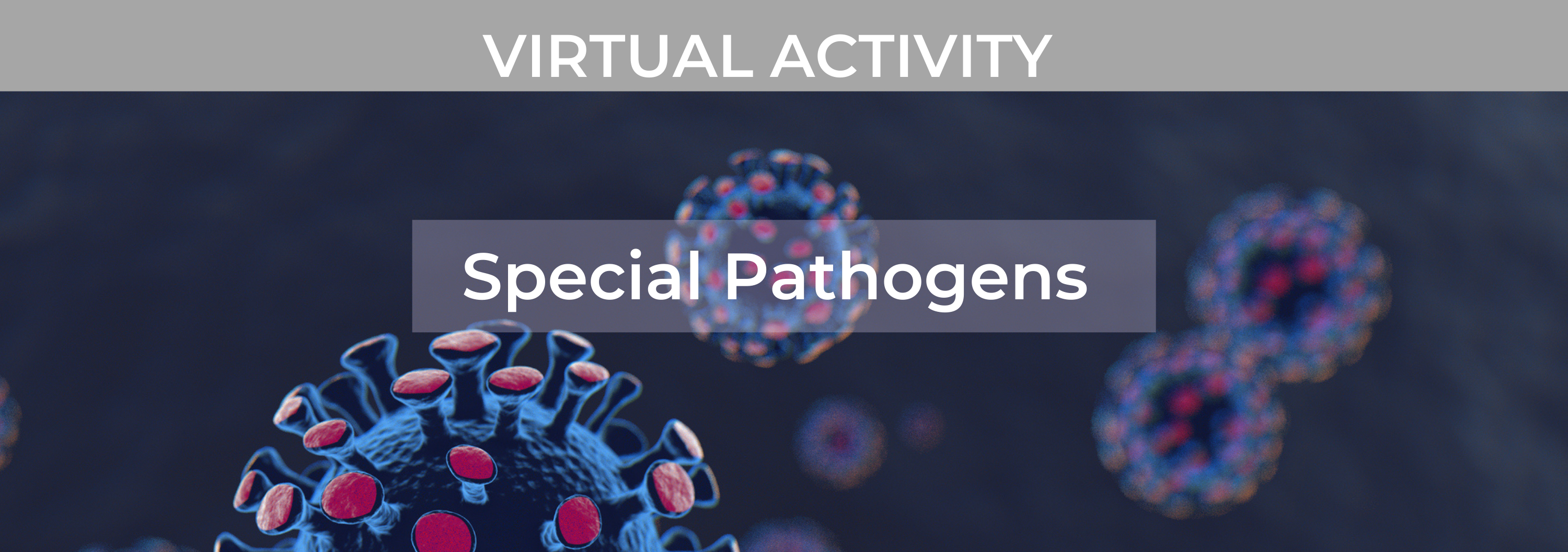 2021 Special Pathogens Virtual Symposium Banner